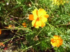 accompagnement individuel-art thérapie-Amiens-jean moisan