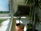 salle-atelier-danse-amiens-jean-moisan-somme